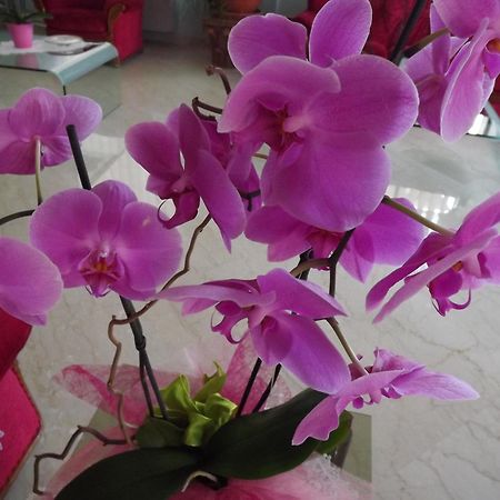 Hotel Cristina Chianciano Terme Bilik gambar
